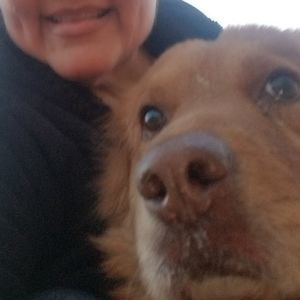 Meet your Posher, Irene